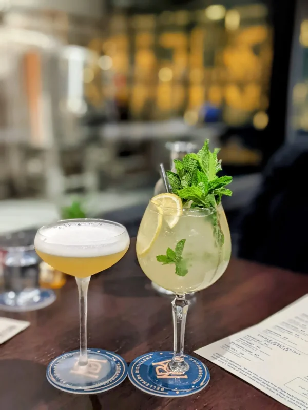 Ginis Beverages: Non-alcoholic Beverage & Wellness Drink