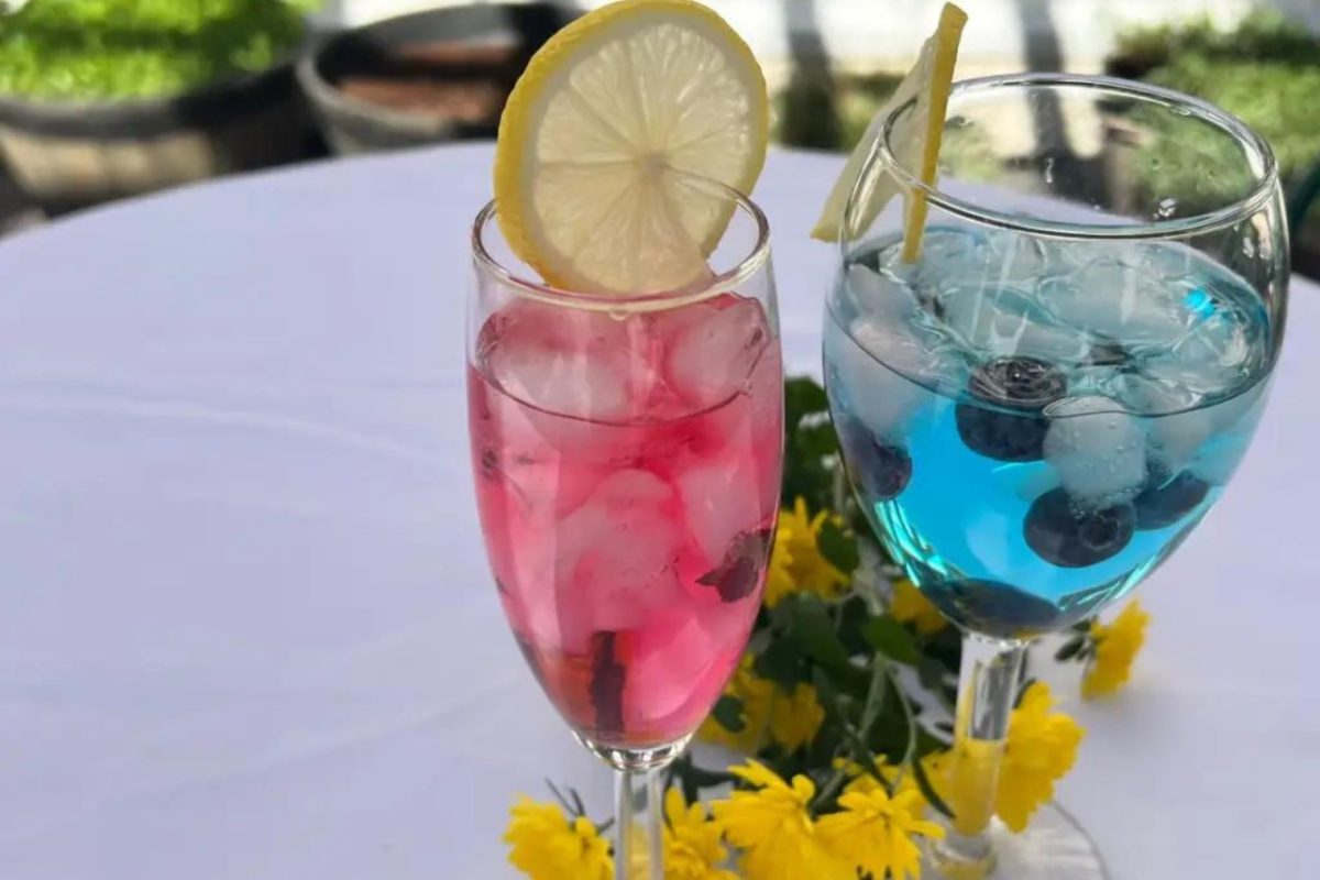 Ginis Beverages: Non-alcoholic Beverage & Wellness Drink